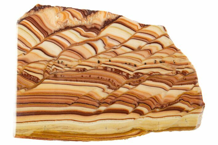 Polished Slab Of Rolling Hills Dolomite - Mexico #324423